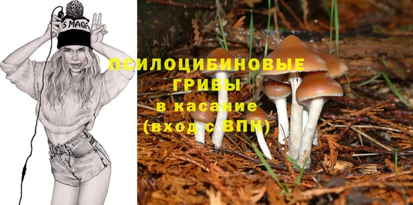 мяу мяу мука Краснотурьинск