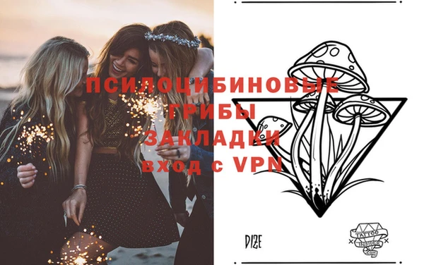 мяу мяу мука Краснотурьинск