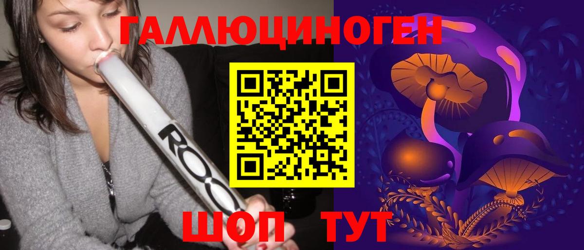 Галлюциногенные грибы Psilocybe Михайловск