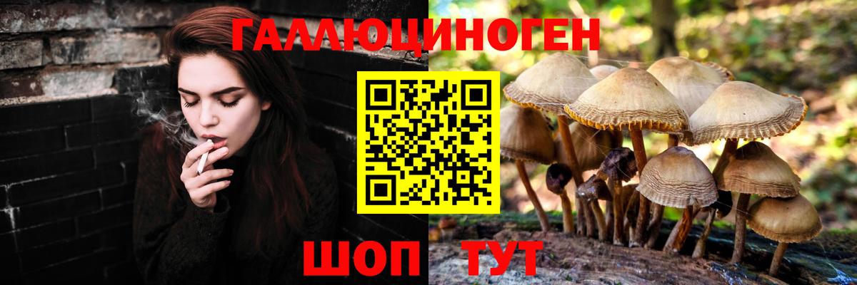 Галлюциногенные грибы Magic Shrooms  Вход с VPN  Михайловск 